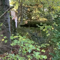 img_6143.jpg