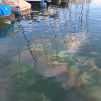 20250729_192739.jpg