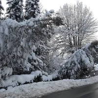 20190111_084424_1.jpg