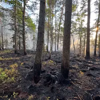 Waldbrand 3.jpg
