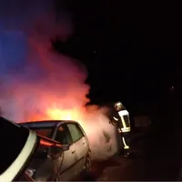 brandauto1.png