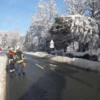 20190111_112724.jpg