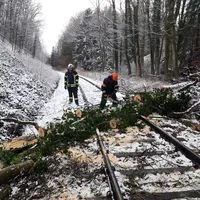 johannes_herzinger_-_20200228_105623.jpg